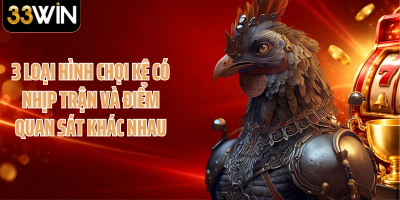 3 loại hình chọi kê có nhịp trận và điểm quan sát khác nhau