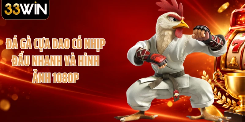 Đá gà cựa dao có nhịp đấu nhanh và hình ảnh 1080p