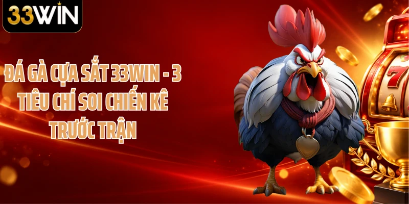 Đá Gà Cựa Sắt 33WIN - 3 Tiêu Chí Soi Chiến Kê Trước Trận