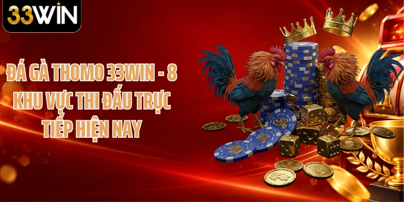 Đá Gà Thomo 33WIN - 8 Khu Vực Thi Đấu Trực Tiếp Hiện Nay