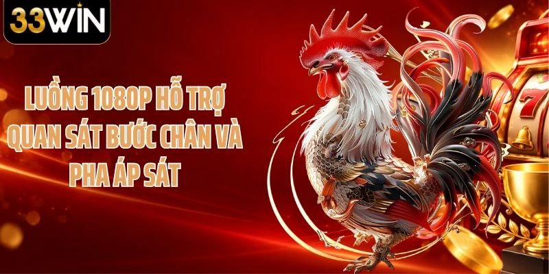 Luồng 1080p hỗ trợ quan sát bước chân và pha áp sát