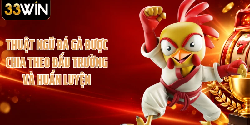 Thuật ngữ đá gà được chia theo đấu trường và huấn luyện